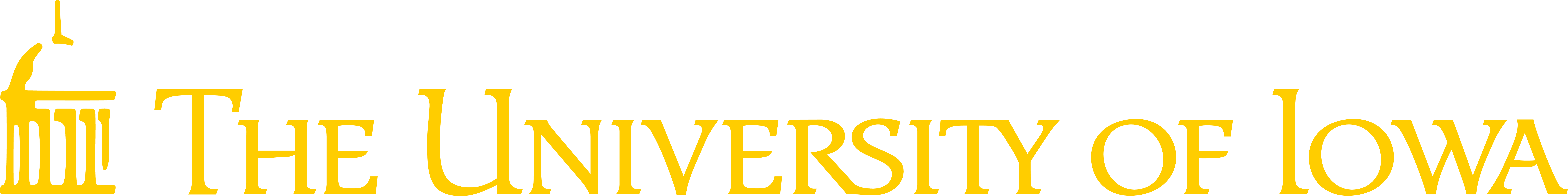 The University of Iowa logo